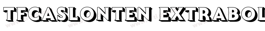 TFCaslonTen Extrabol字体转换